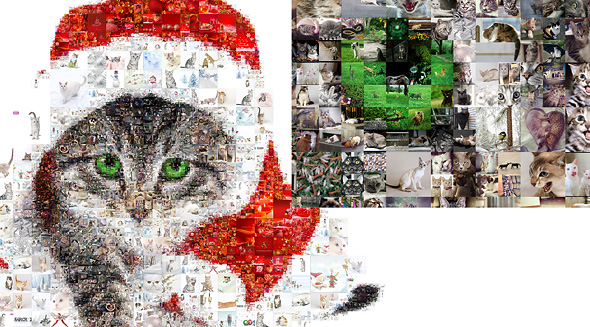 Look at the 100% crop of the photo collage to see the level of detail Simple Photo Collage Maker algorithm